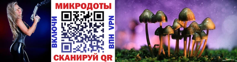 Псилоцибиновые грибы GOLDEN TEACHER Олонец